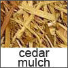 Cedar Bulk