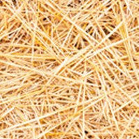 Straw, Bale  #660