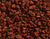 Red Lava Rock - #745